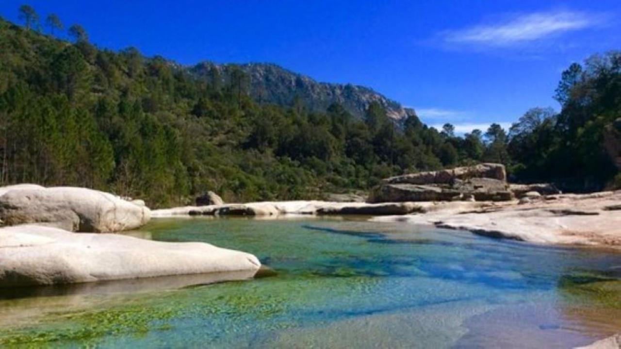 Campeggio L'oso *