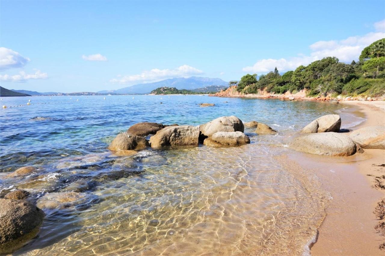 L'oso Campeggio Porto Vecchio