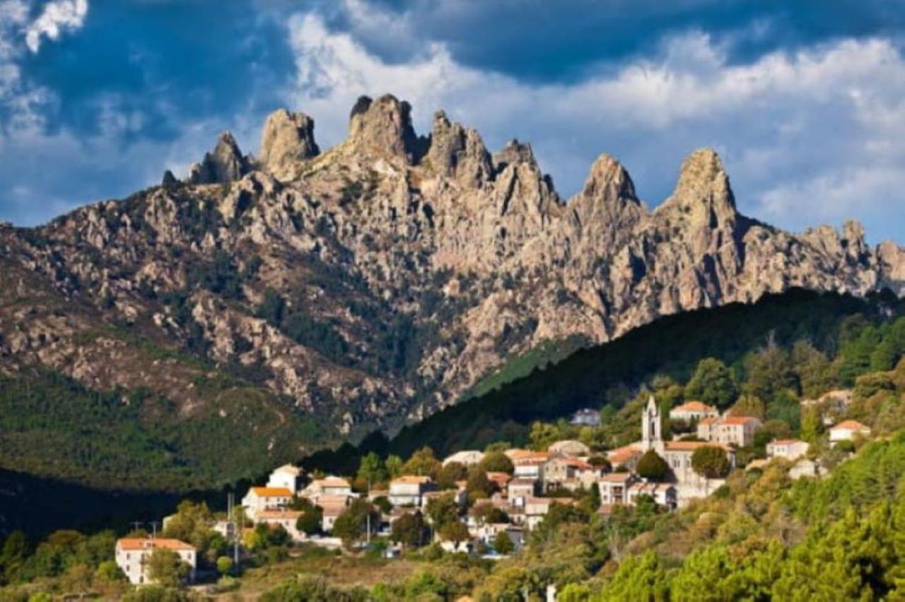 L'oso Campeggio