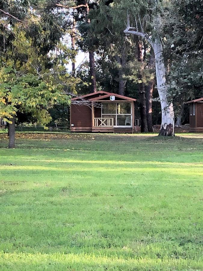 Camping L'oso *