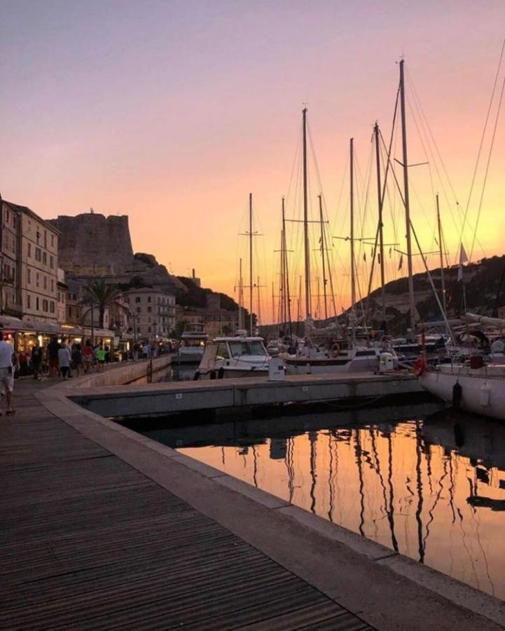 L'oso * Porto-Vecchio (Corsica)