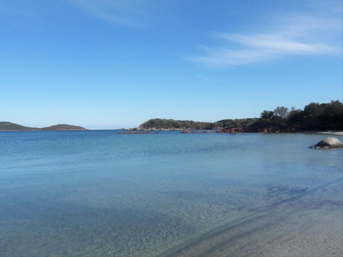L'oso * Porto-Vecchio (Corsica)
