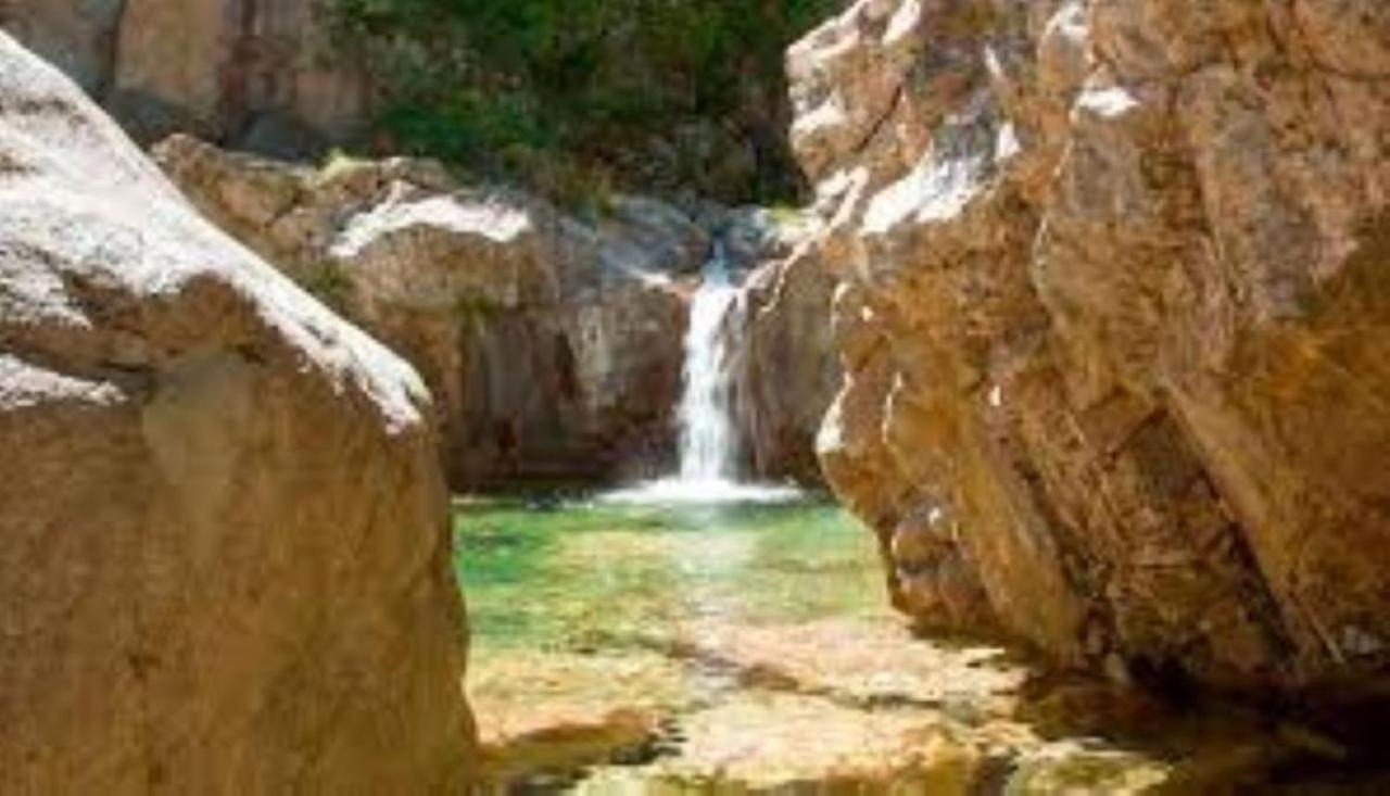 L'oso * Porto-Vecchio (Corsica)