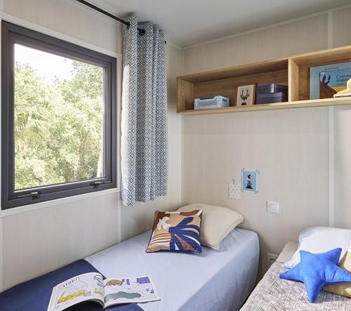L'oso Camping